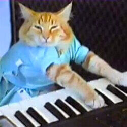 Logo Keyboard Cat