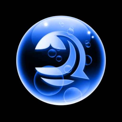 Bluwhale Points