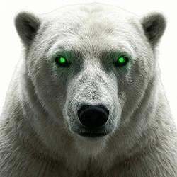 White Polar Bear