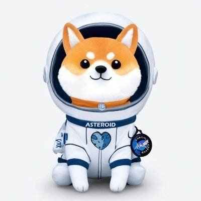 Logo de ASTEROID SHIBA