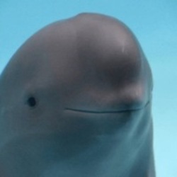 Smiling Dolphin Λογότ.