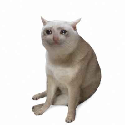 Logo Cash Cat