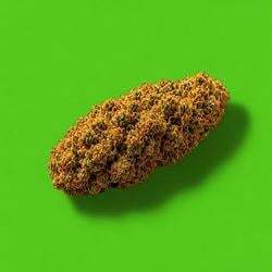 Nuggies 图标