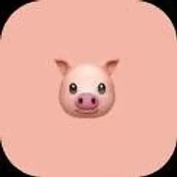 PIGI COIN